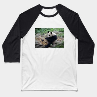 Cute and Cuddly Giant Panda Bear!! Baseball T-Shirt